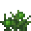 NoctaliteStage2